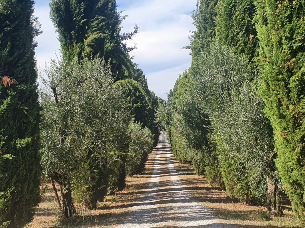 Trauergruppe suizidhinterbliebene Eltern